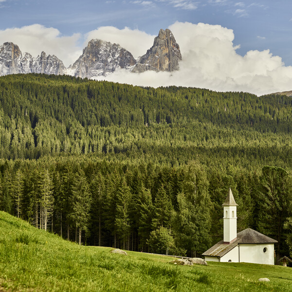 Val di Fiemme - Pampeago - Panorama